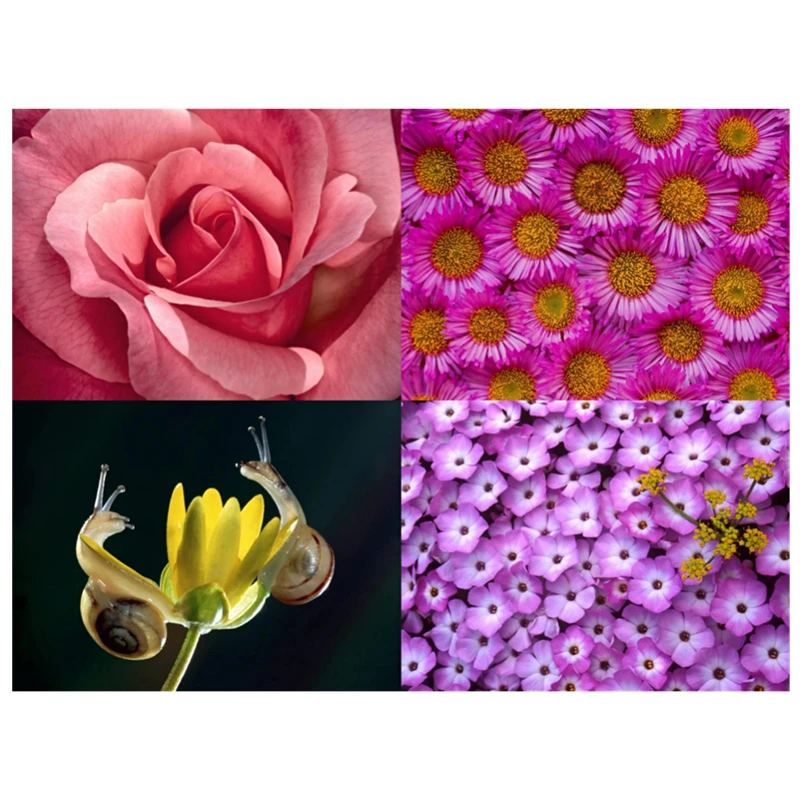 

Diamond Painting 5D Diamonds DIY Flower Cross Stitch Full Square Drill Embroidery Colorful Handmade Home Room Wall Decor