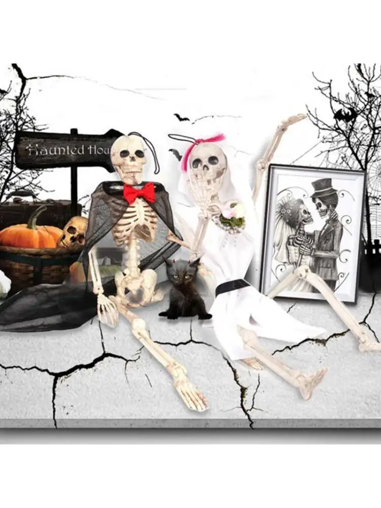 

Flexible Human Anatomical Anatomy Skeleton Model Full Life Size Halloween Prop XXFE