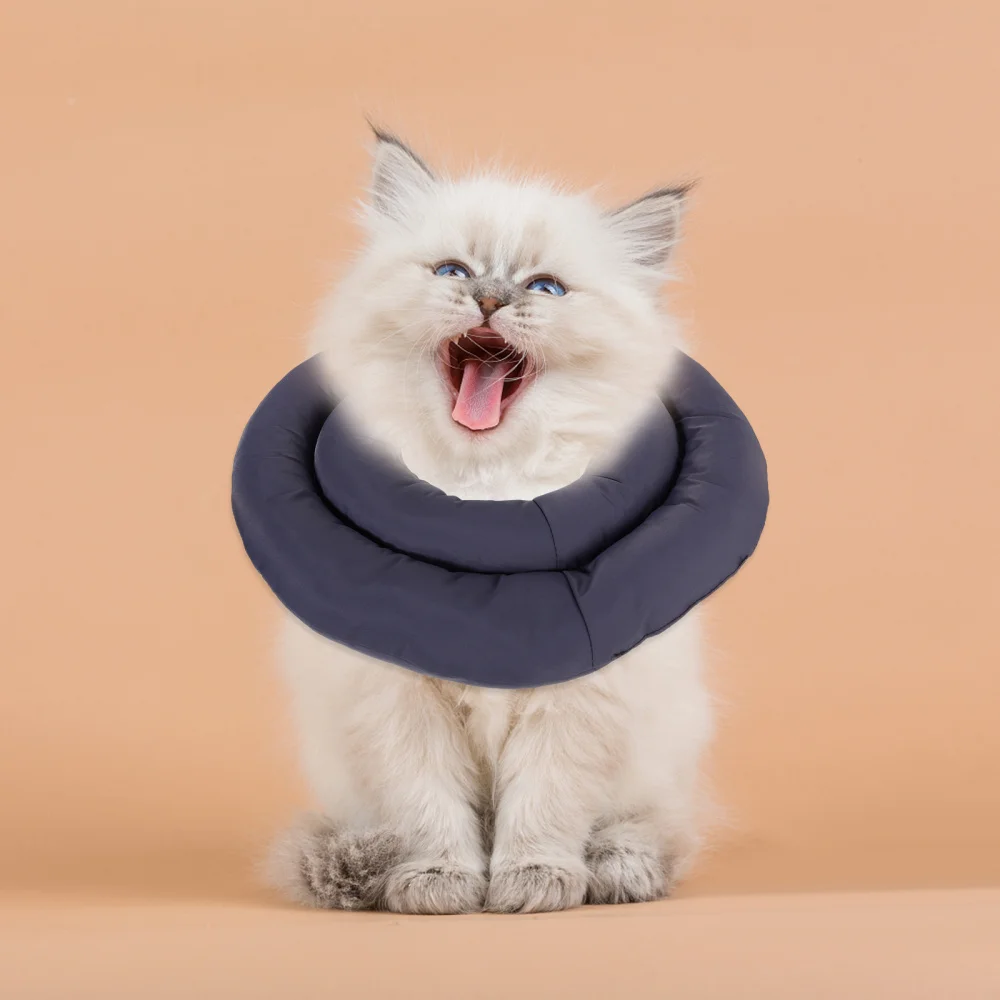 

Pet Collar Waterproof Anti-licking Recovery Accessory Pet Supply (Size)