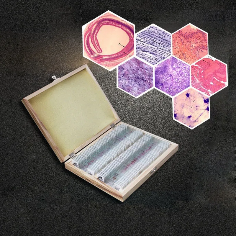 100 шт. Гистология человека и эмбриология приготовленные физиологические ломтики