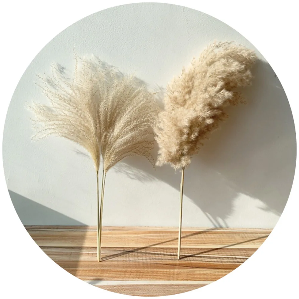 

8pcs/10pcs/20 Pcs real dried small pampas grass wedding flower bunch natural plants decor home decor dried flowers Free shipping