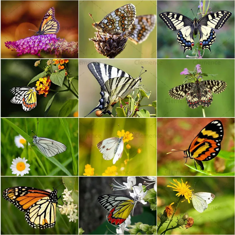 

Diamond Painting Butterflies Cross Stitch Kit Diamond Wall Art Crystal Mosaic Art Full Diamond Embroidery Painting New Year Gift