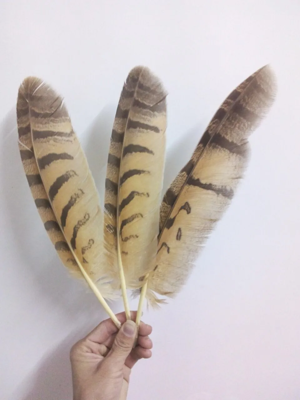 

Wholesale high quality 10-50 pieces/rare eagle feather 10-14 inches/25-35cm handicraft feather wedding decoration diy