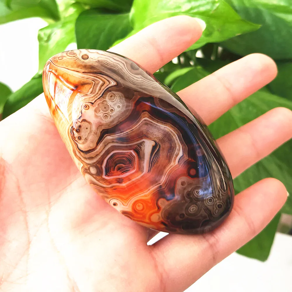 Агатовый кристалл пальмовый камень натуральный Sardonyx полированный сердолик