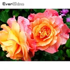 EverShine цветы Краски с бриллиантами камни в форме ромба Стразы Алмазная вышивка крестиком со стразами мозаичное Ремесло Искусство подарок