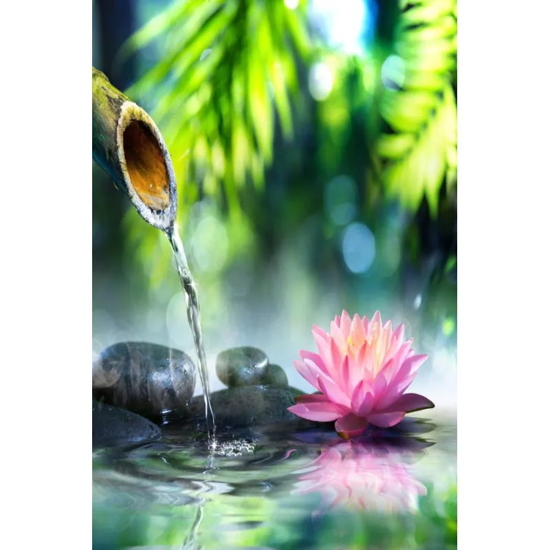 

Lotus Flower Posters On The Wall Modern Anime/Movie/Abstract Rectangle Poster Fabric Cloth Wall Art Unframed 0918