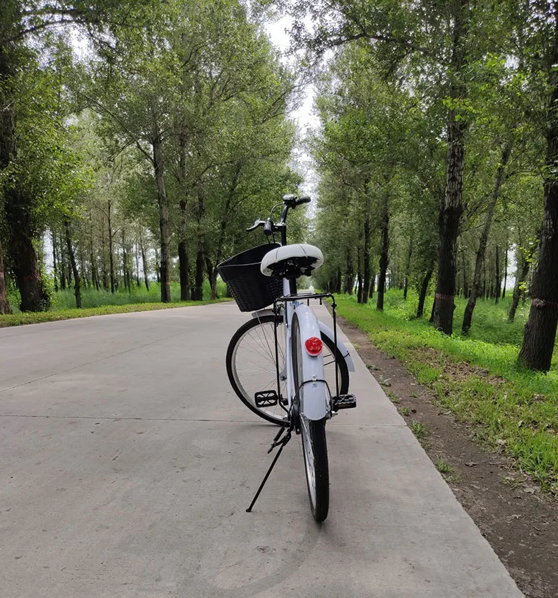 Дорожный велосипед, 26 дюймов, дорожный Ретро светильник для путешествий, студенческий, для взрослых мужчин и женщин, новинка