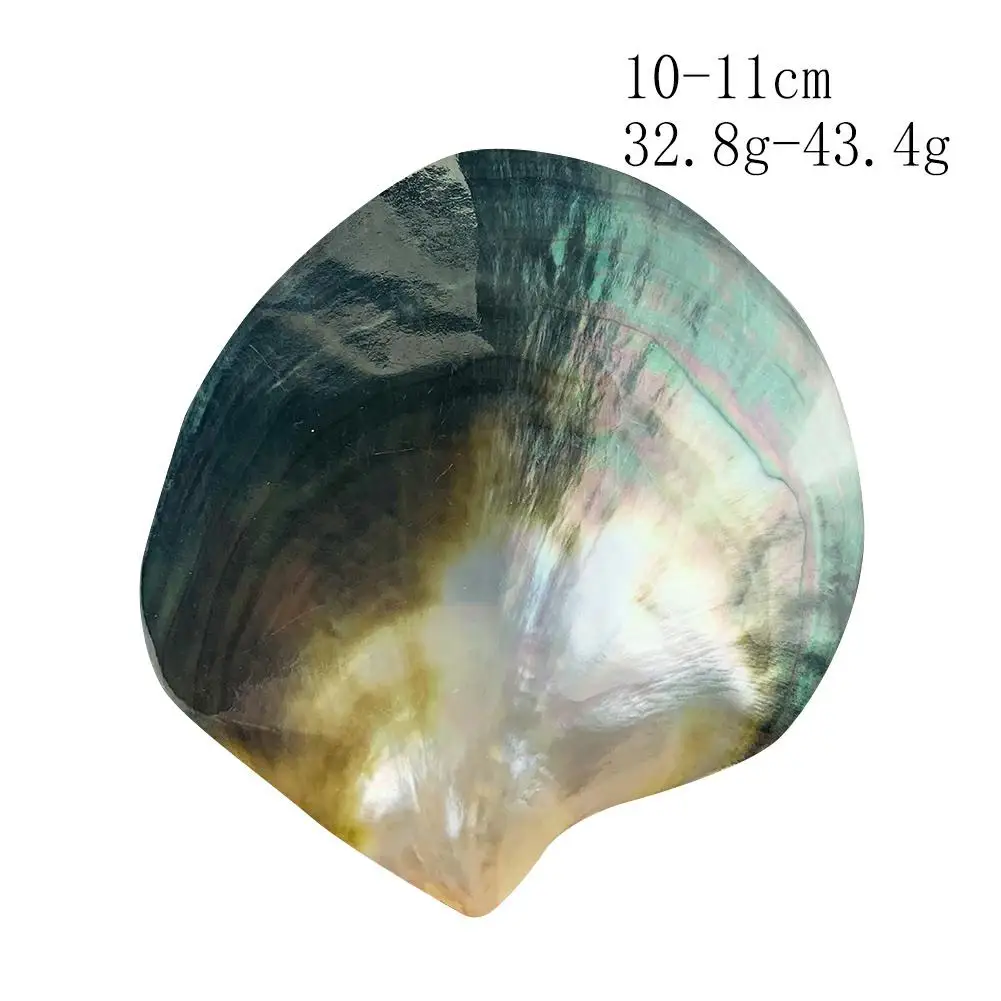 

Natural Pinctada Margaritifera Black Mop Polished Furniture Decor Jewelry Storage Box Landscape Photo Prop Caviar Seasoning Tray