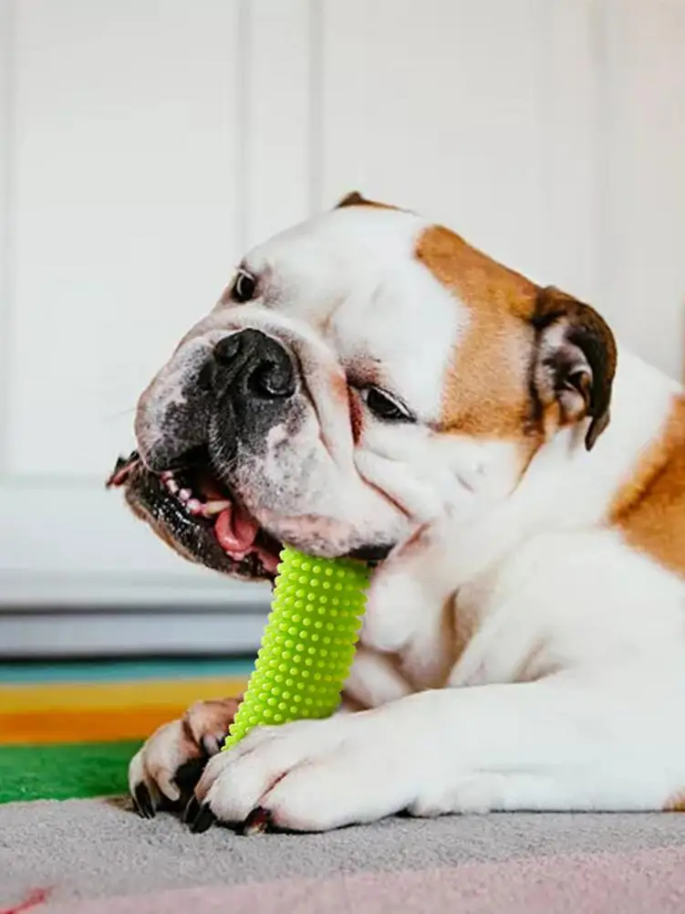 

Резиновые жевательные игрушки для собак, неразрушаемая интерактивная игрушка для прорезывания зубов для щенков, искусственная чистка зубо...