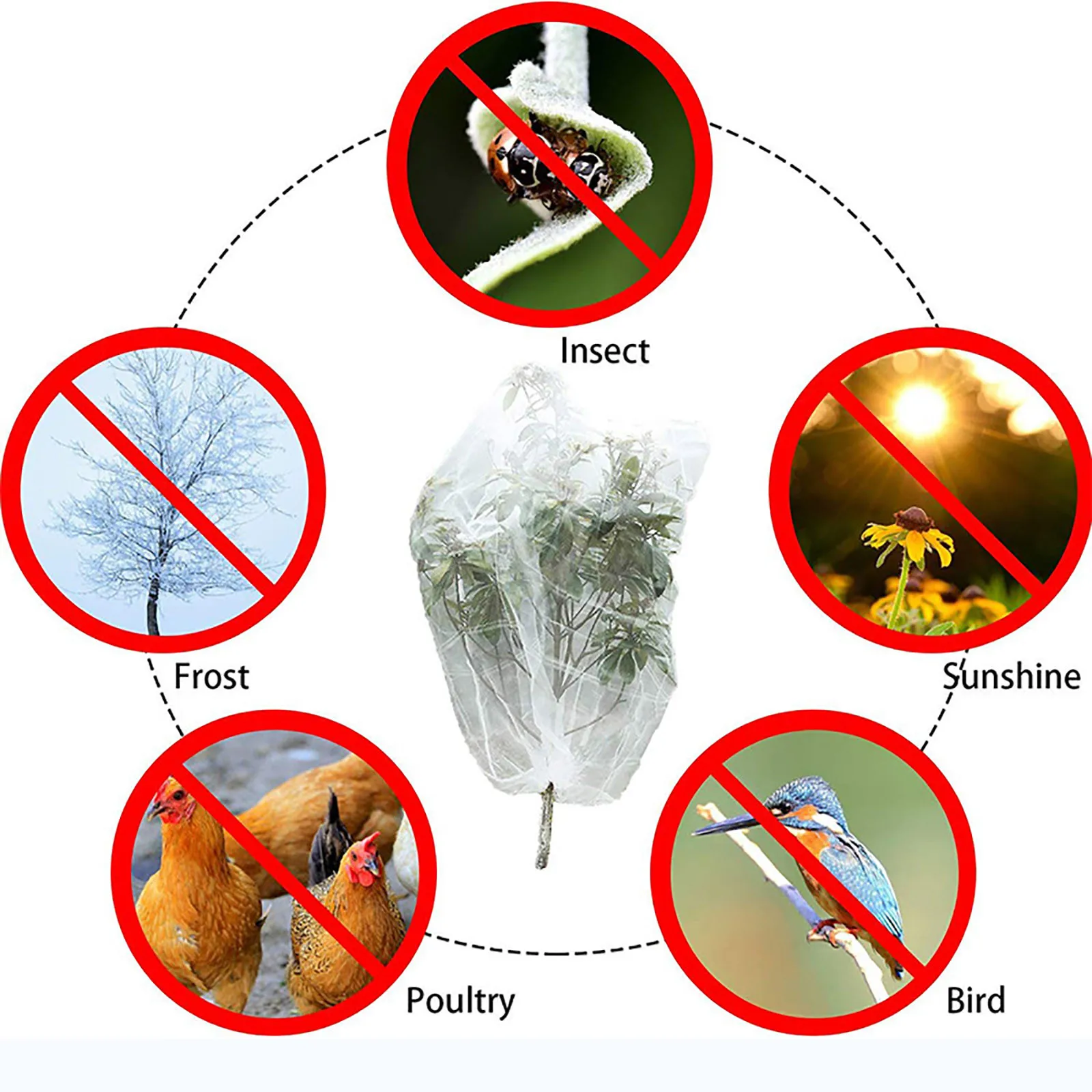 

White nylon net Agricultural and horticultural net plant protective equipment fruit tree insect net bird Fruit Trees Protective
