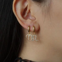 1pairs fashion hoop earrings diamond for 12 zodiac signs cute color earrings personality women earring 12 constellation earrings