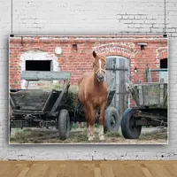 Horse Stable Photography Backdrop West Cowboy Brick Wall Rustic Yard Barn Background Farm Theme Party Banner
