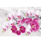 Алмазная живопись 5D DIY, изображение орхидеи, полностью квадратнаякруглая бриллиантовая мозаика; Резина, вышивка, ремесла, домашний декор, подарочный набор