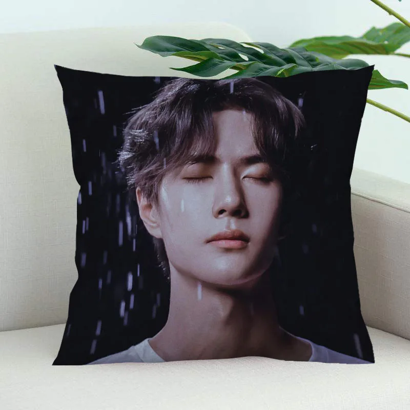 

The Untamed New YiBo Wang Pillow Cover Bedroom Home Office Decorative Pillowcase Square Zipper Pillow Cases