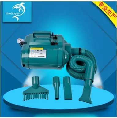 Secador de pelo de doble voltaje para perros y mascotas, soplador de bajo ruido de 3300W, 110-240v, doble Motor, velocidad del viento continua, enchufe personalizado para UE, Au, EE. UU. Y Reino Unido-1