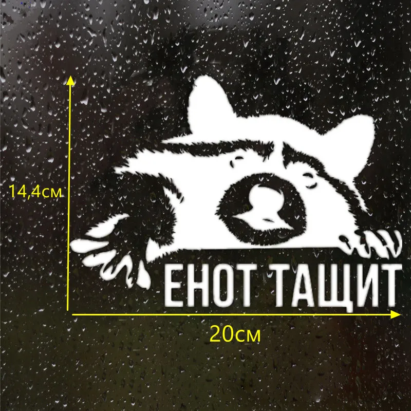 

18X14cm Raccoon Funny Car Sticker Vinyl Decal Silver/black for Auto Car Stickers Styling Car Decoration