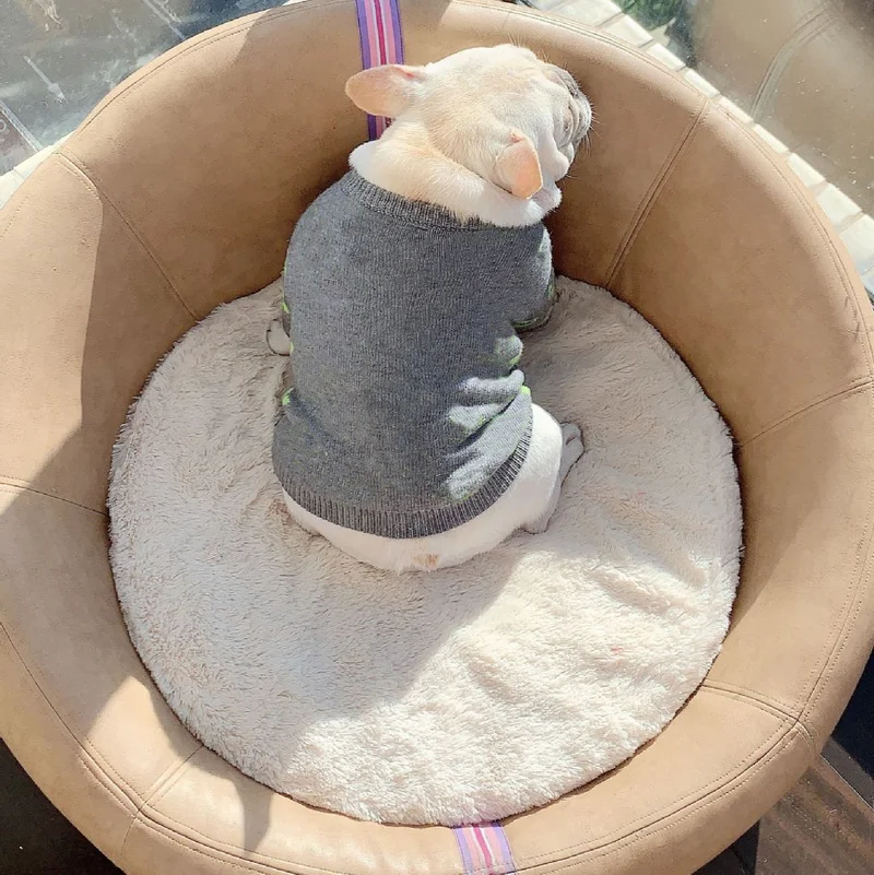 Свитеры с изображением милой собаки Модная элегантная одежда принтом для