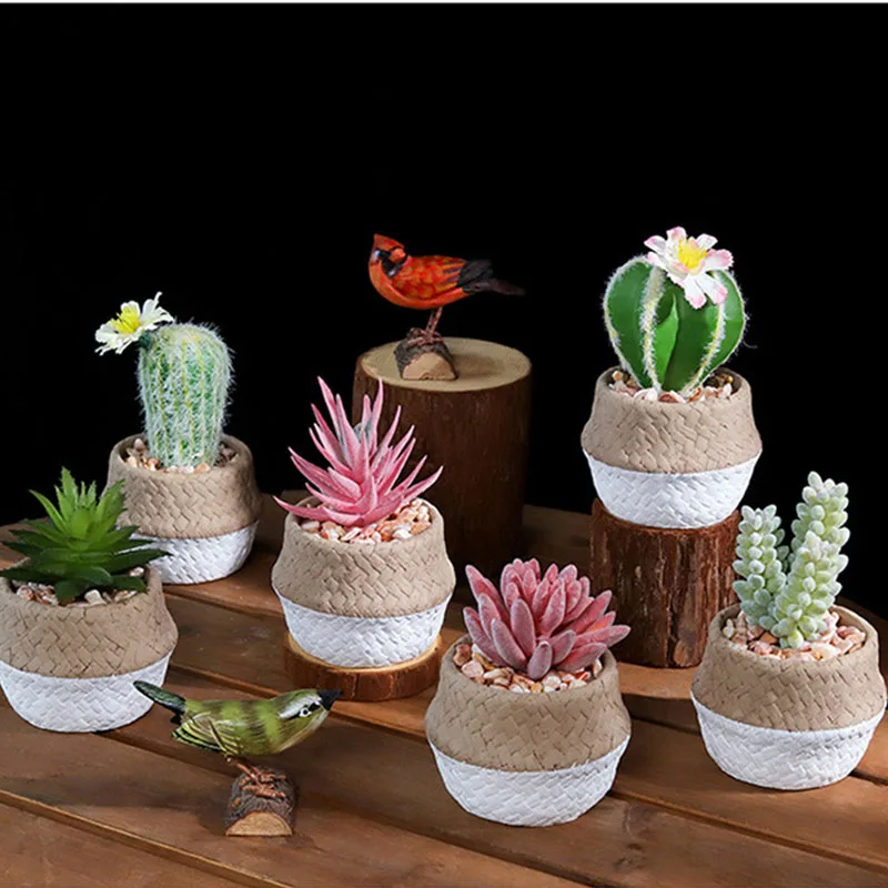 

Creative Diamond Geometric Flowerpot Simple Succulent Plant Container Desktop Planters Small Bonsai Pots Home Decoration