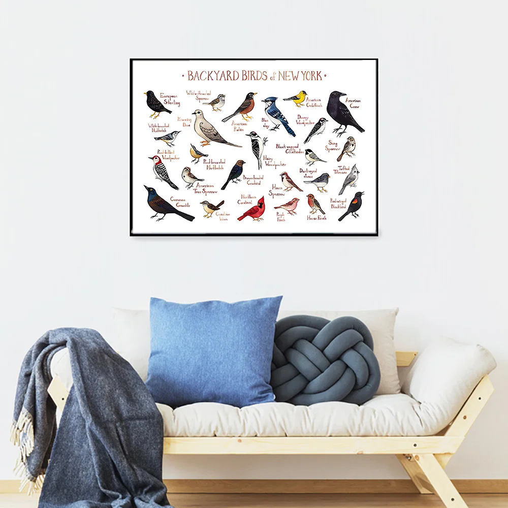 

Backyard Birds of New Yorks Poster Animals Canvas Print Modern Nordic Style Art Painting Wall Decoration Picture Home Decor