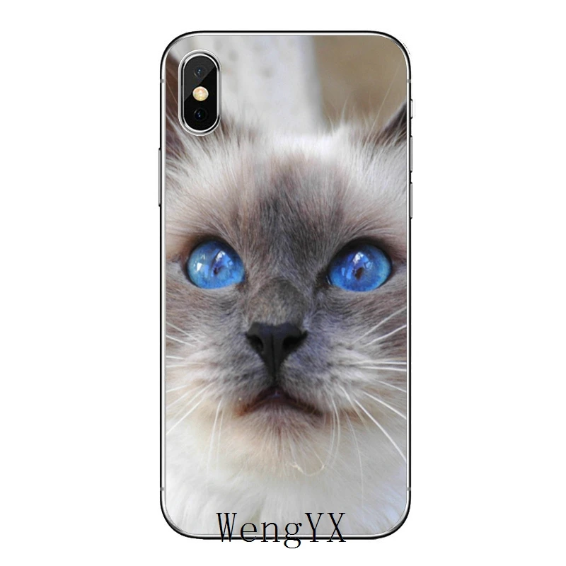 Pet ragdoll кошка синие глаза для huawei mate 20 10 9 P30 P20 P10 P9 pro Lite P Smart plus аксессуары чехол для телефона - Цвет: cat-blue-eyes-B-10
