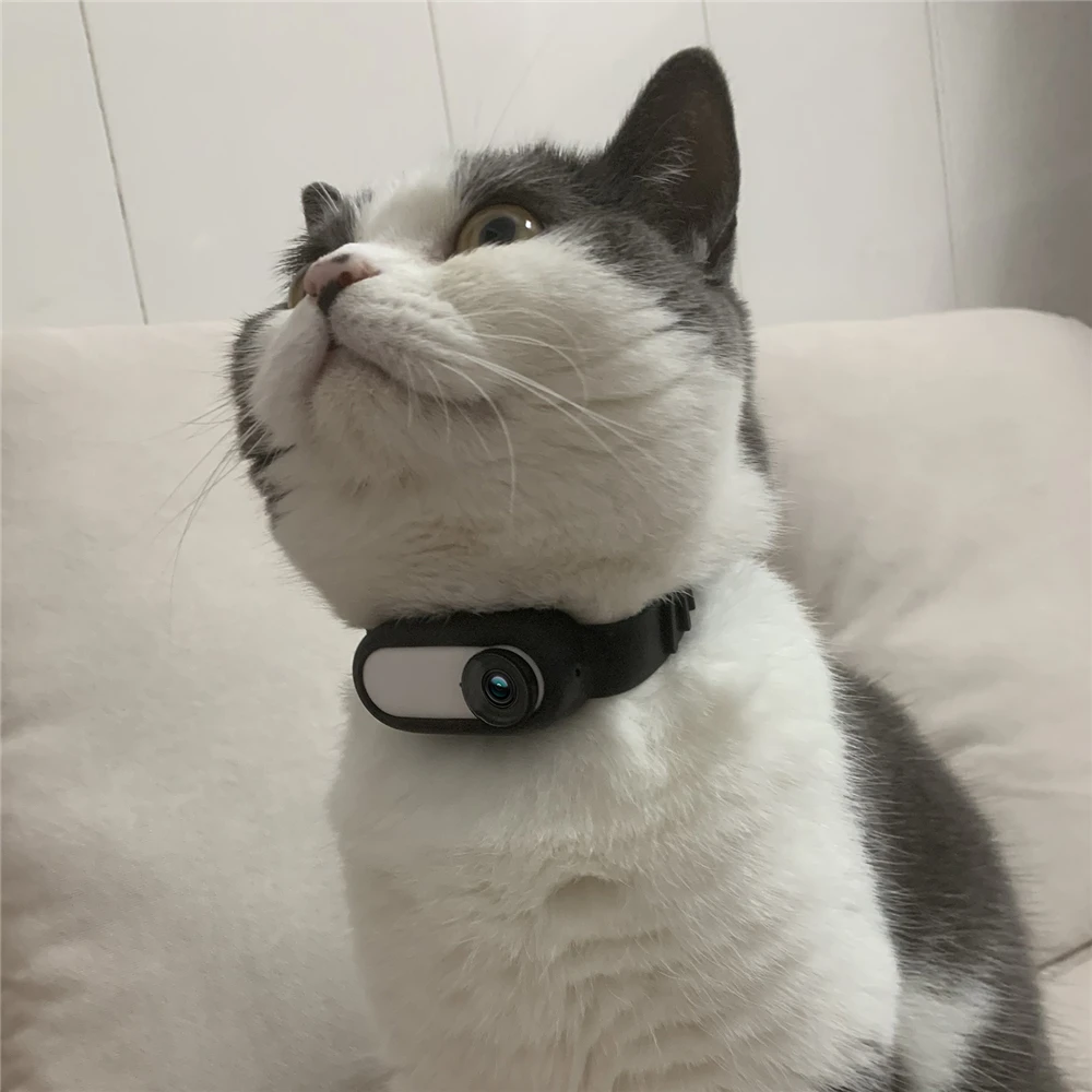 Camera Strap Silicone Protective Cover For Insta360 GO 2 Wristband Palm Backpack Stripe Bicycle Cat Collar Accessories | Электроника