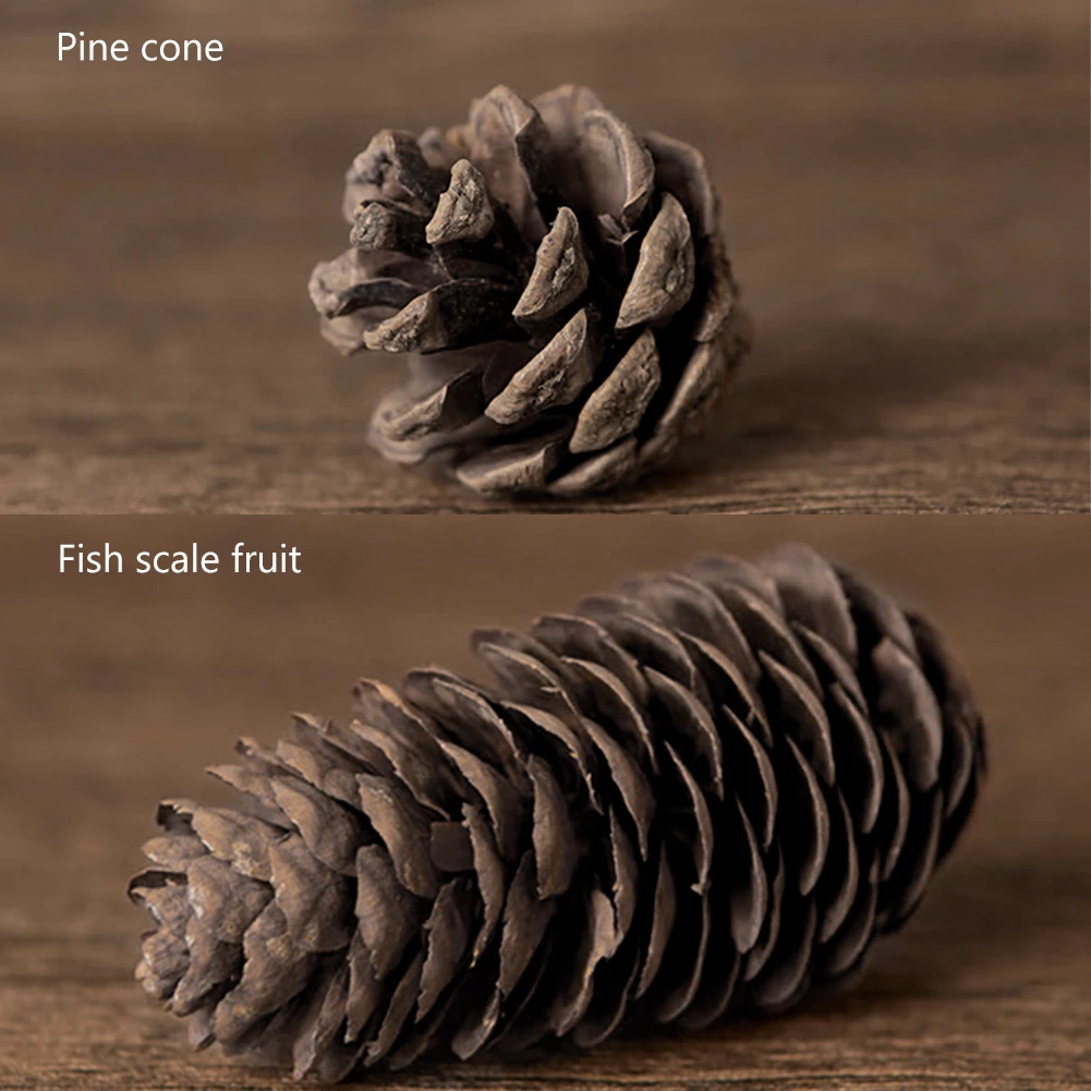10 шт./компл. натуральные сухие растения сосновые шишки фото фон деревянные чипсы