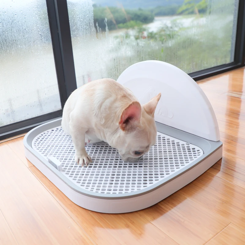 

Cleaning Supplies Dog Supplies Toilet Tray Poop Pet Travel Dog Large Training Things Seat Kuweta Dla Psa Housebreaking BE50CS