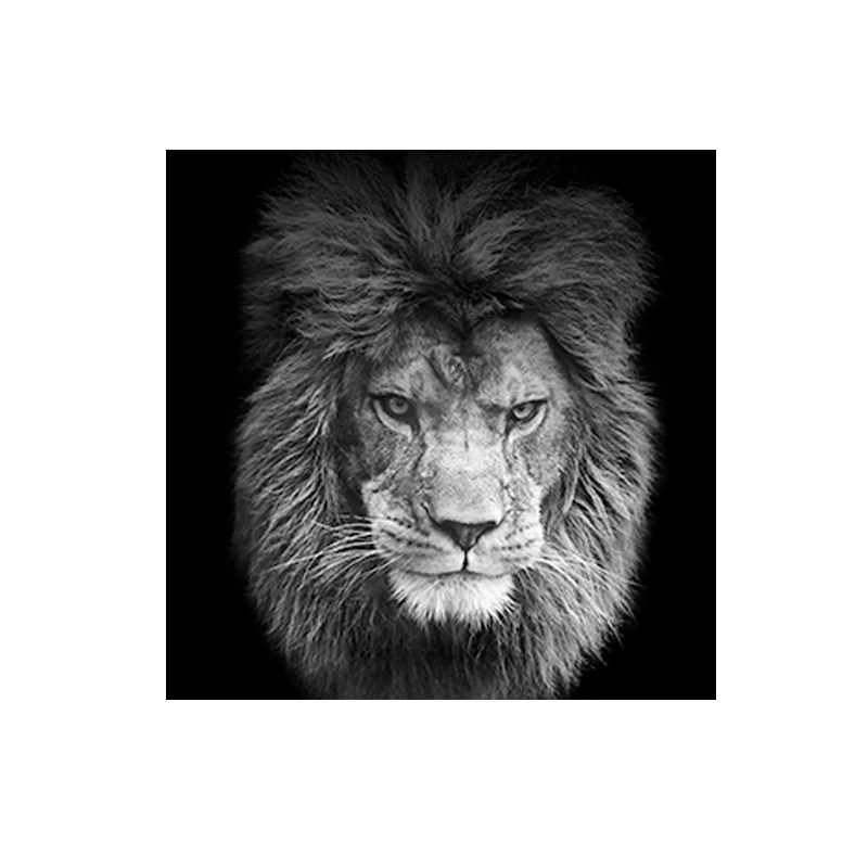 

Black and White Lions Animals Art Canvas Poster Wild Landscape Painting Wall Art Pictures Graphic Gift Living Room Bedroom Decor