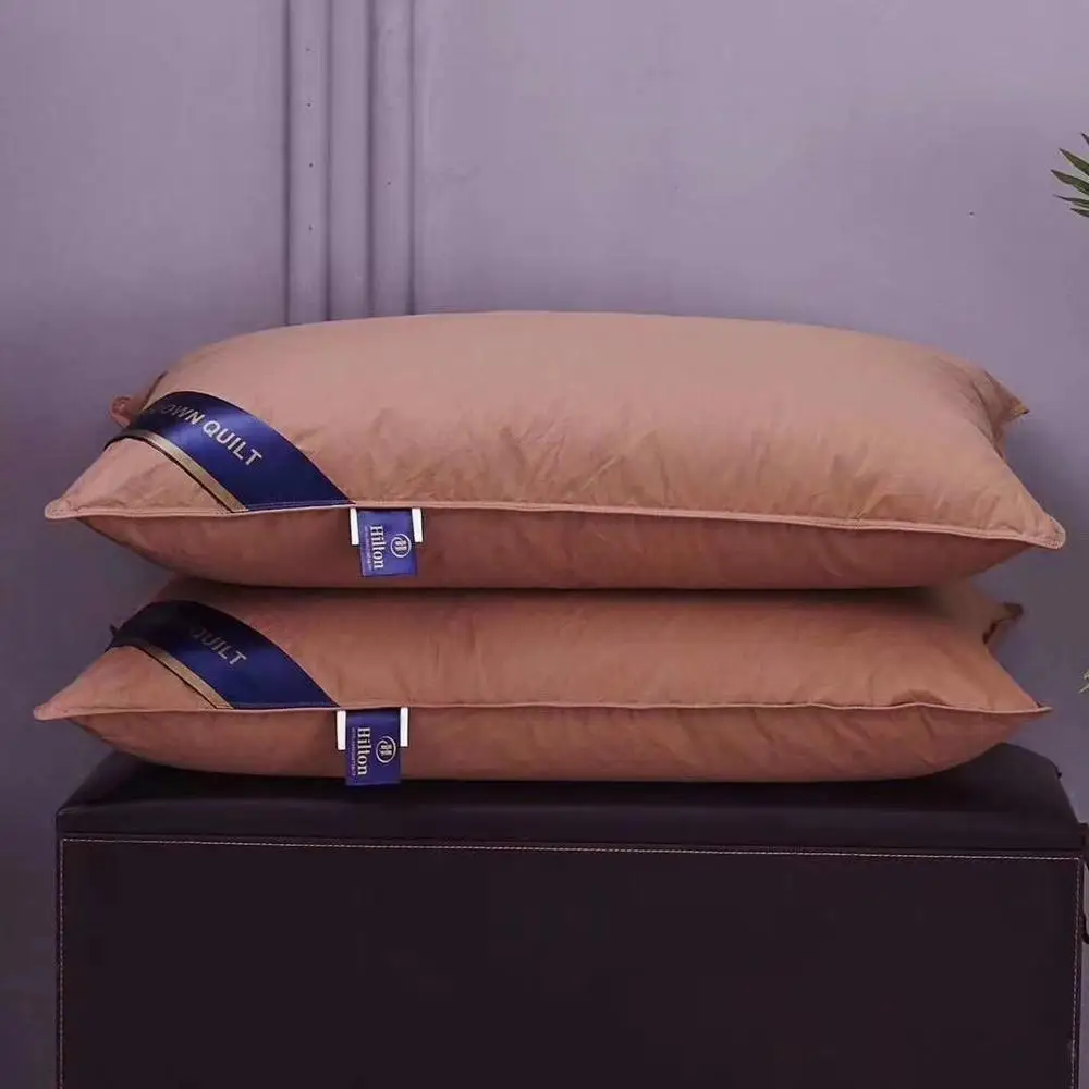 

Five Star Hotel Embroidered Pillow Core Down Pillow Hotel Memory Pillow Rectangle 95% White Goose Down Pillow