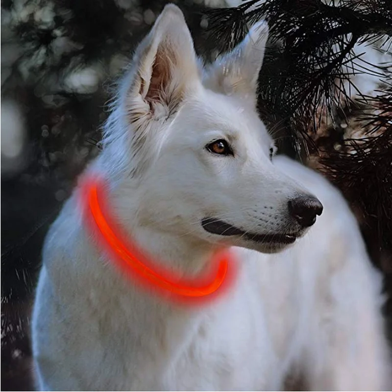 

collar dog led Safety Accesorios LED Nylon USB Rechargeable Flashing Led Adjustable Glow In Night Pet Dog Collar 2020 new
