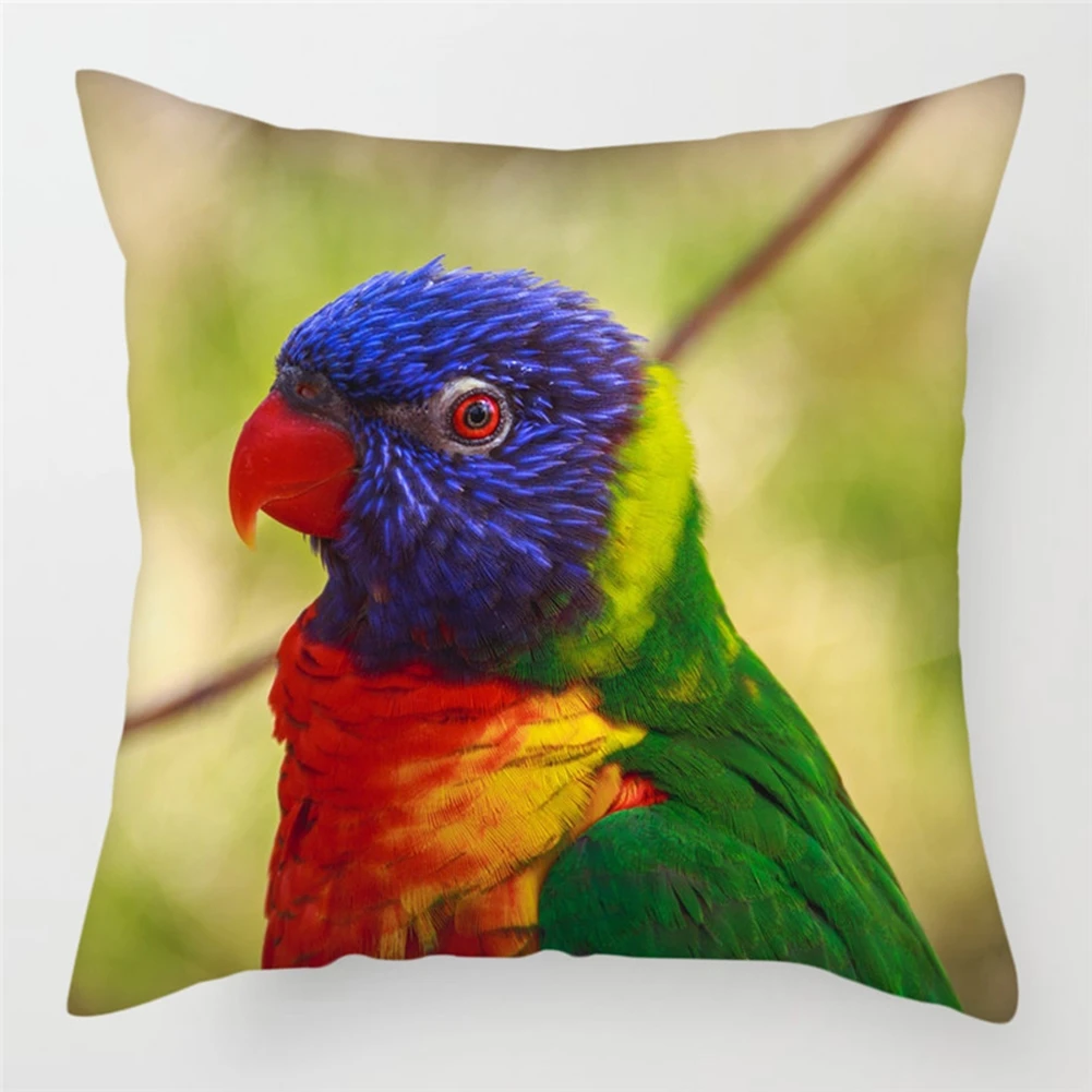 

Lovely Colourful Parrot Plush Hug Pillow Case Square Living Room Home Decorative Sofa Cushion Cover Elegant Stylish Design