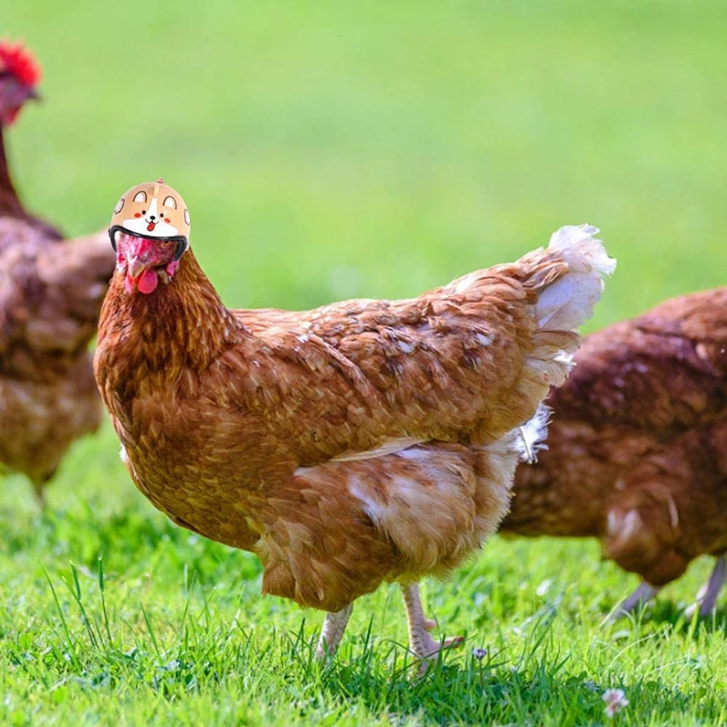 Курица шлем для домашних животных забавные защитный курица каску шапка в форме