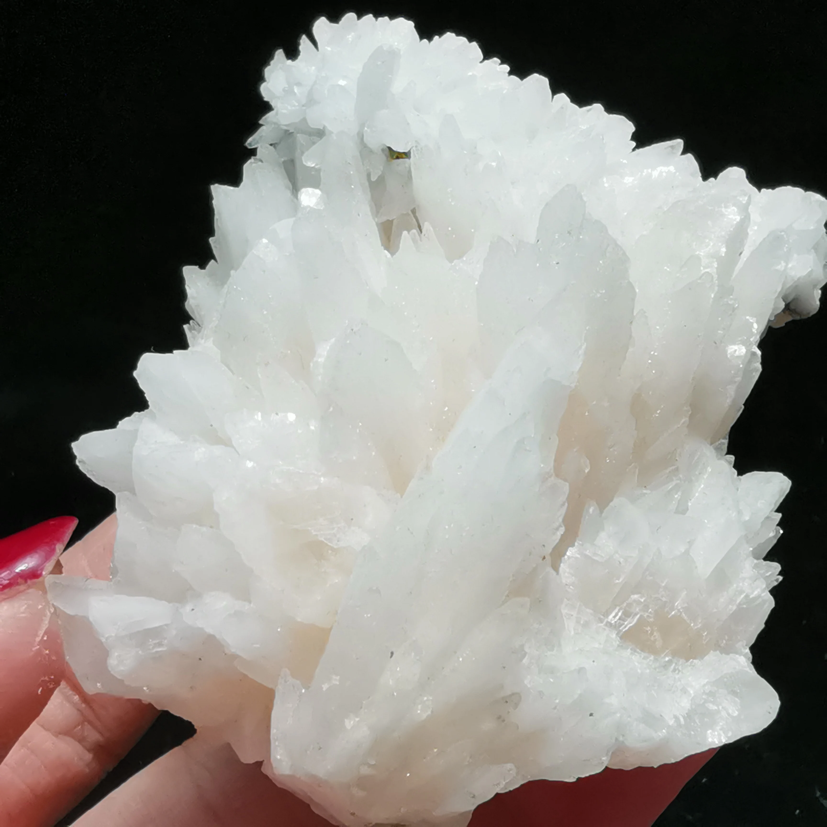 

143.3gNatural rare feather calcite crystal healing energy home decoration QUARTZ GEM