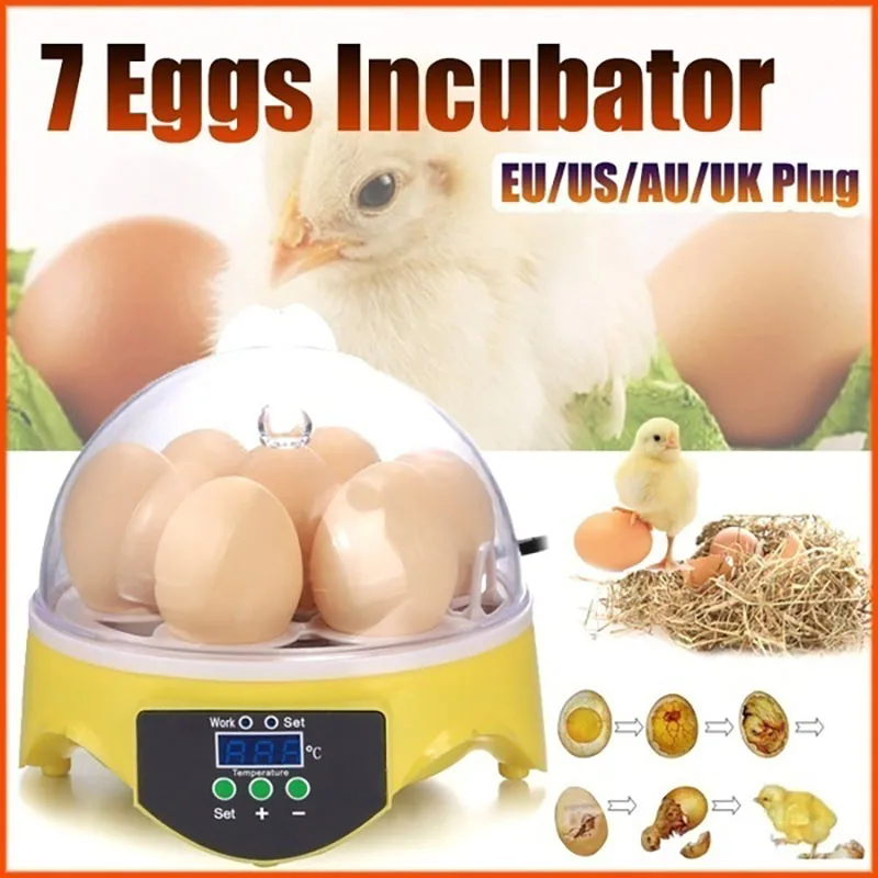 

Mini Digital 7 Eggs Incubator Automatic Temperature Brooder Chicken Duck Bird Egg Hatcher 110 220V Farm Poultry Hatchery Machine