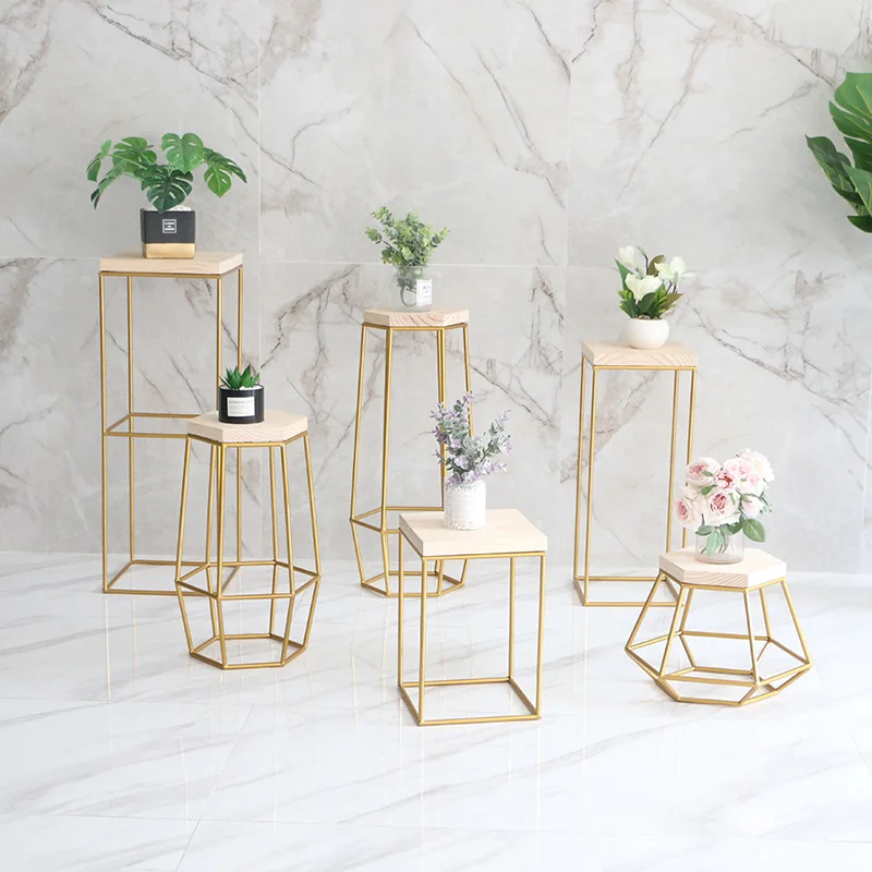 

Creative Geometric Ironwork Flower Rack for Household Indoor Plants Floor-style Chlorophytum Potted Flower Pot Rack Plant Shelf