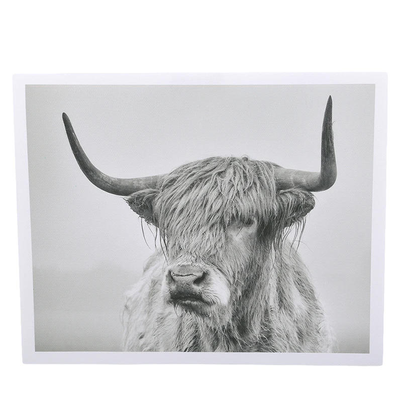 Черно-белый домашний Декор постер с изображением животных Нагорная корова Як