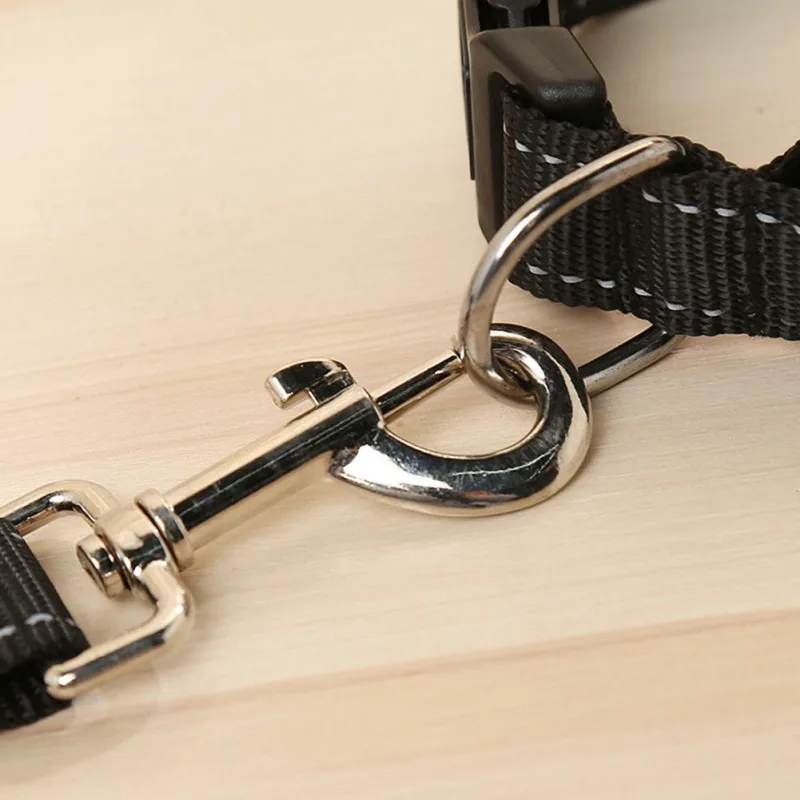 

Heavy-Duty Metal Hook Reflective Nylon Webbing Night Safety Pet Leash Led Strip To Keep You And Your Dog Safe 2021 summer new