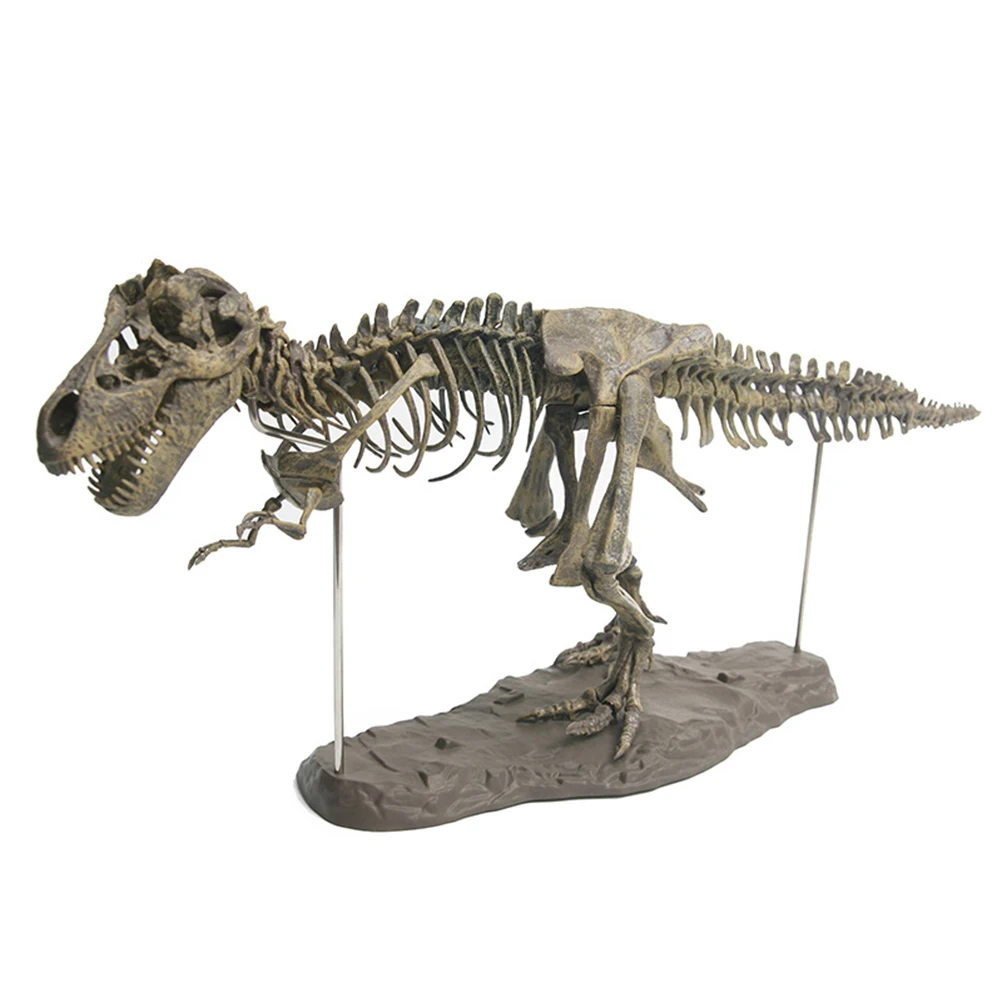 Купи 4D Large Dinosaur Assembled Dinosaur Bones Kids Educational Toy Tyrannosaurus Skeleton Animal Model Ornaments Action Toy Figures за 531 рублей в магазине AliExpress