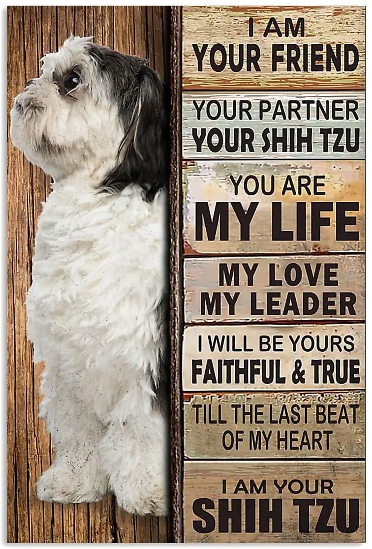 

Жестяная вывеска, украшение для дома, современное оформление детской комнаты, постеры для сада, постеры для улицы, граница Бигля, колли