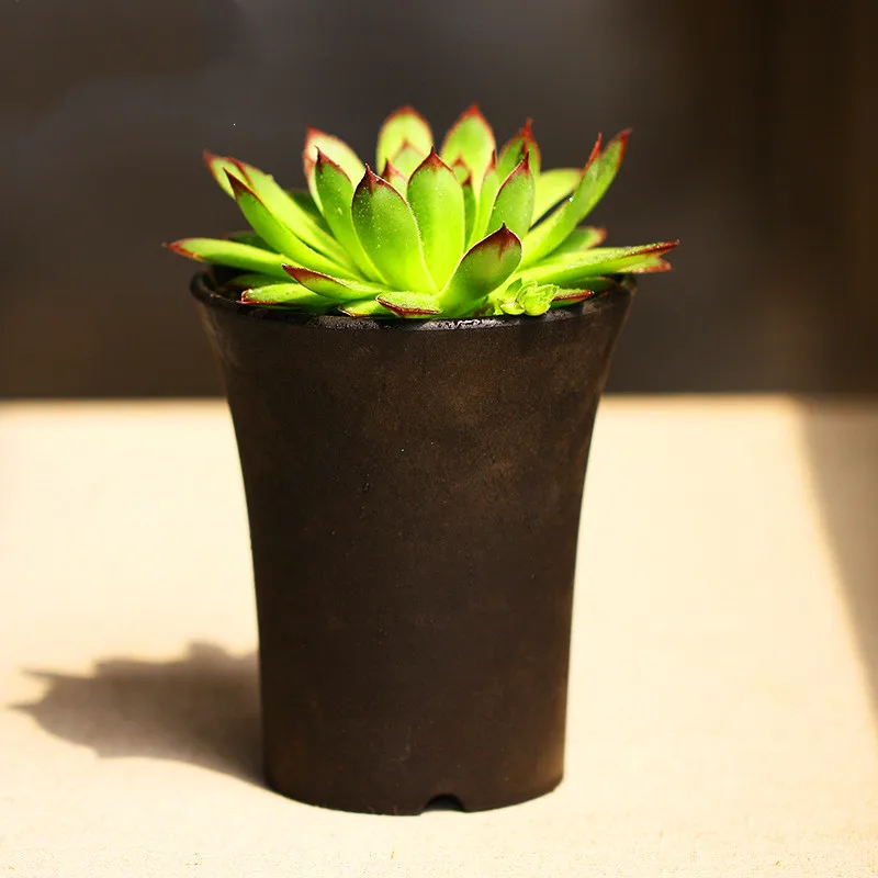 5 шт. горшок для растений небольшой мини бонсай суккулент комнатные Вьентьян