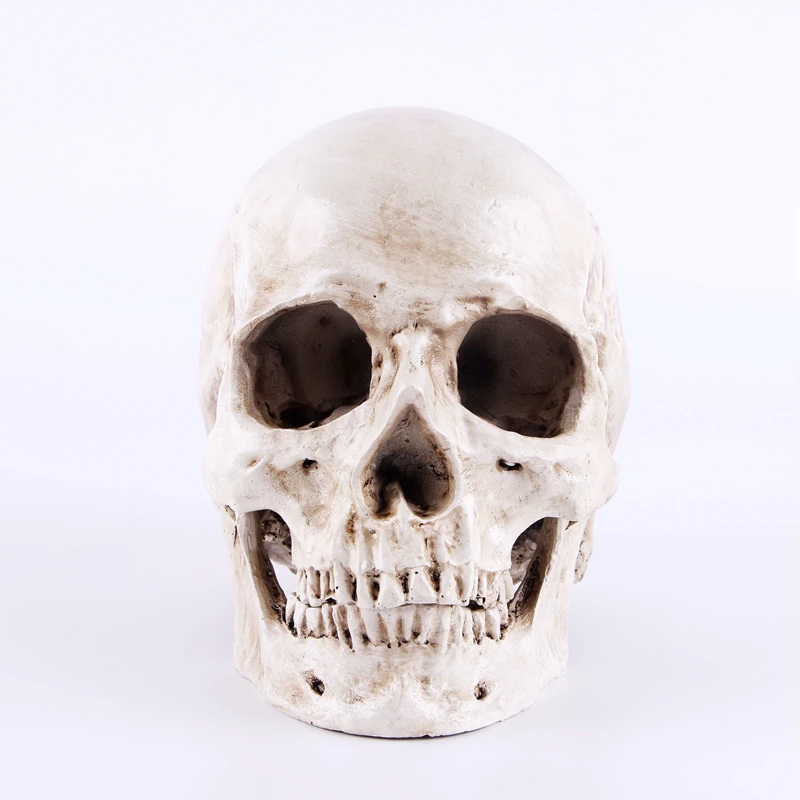 1:1 Skeleton Skull Model Sculpture Ornaments Pattern Resin Crafts Teaching Home Bar Death Symbol Art Decoration | Дом и сад
