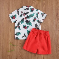 BY Kids Boys Clothing Set Print Short Sleeve Lapel Shirt and Zip Up Shorts Two-piece Suit for Vacation Birthday Party Costume
