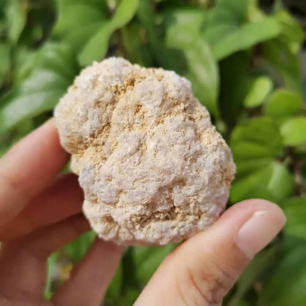 

Natural agate geode Rock hollow Agate crystal stone Teaching specimen