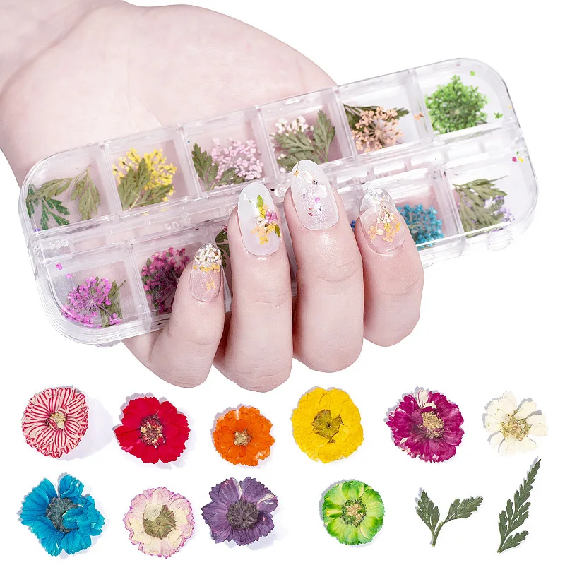 

12 Grid Boxed Nail Jewly Nail Dried Flower Ornaments 9 Styles DIY Nail Art Dried Flowers Decorations Nail Accessories