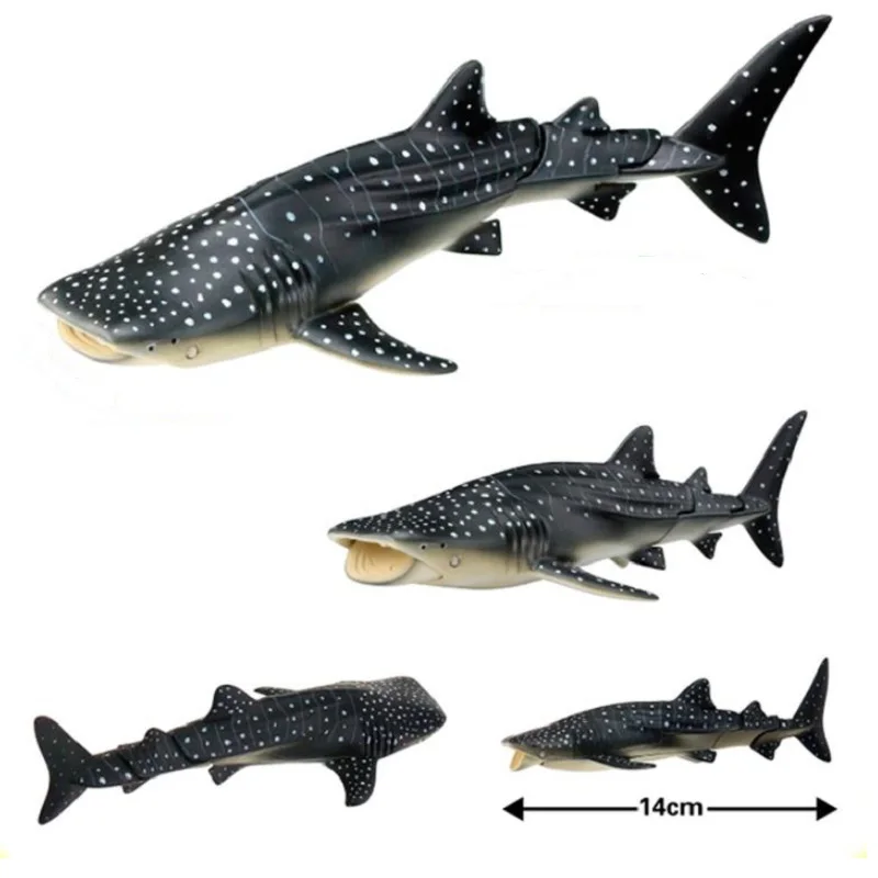 Морская жизнь Orcinus Orca Кит Акула челюсти рот можно открыть и закрыть Классические