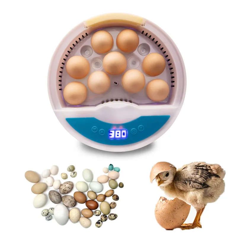 Мини инкубатор для цыплят и яиц 110/220 В|Принадлежности кормления поения| |