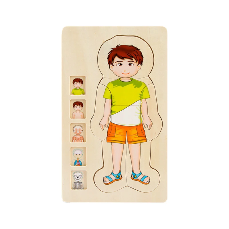 Multi-Layer Wooden Human Puzzles Body Structure Toys lectual Educational Children'S Early Education Educa | Игрушки и хобби