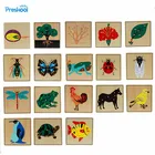 Монтессори, научные и культурные инструкции, животные, растения, насекомые, деревянная мозаика для детского сада, игрушки для детей