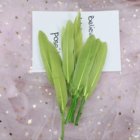 Green 50pcs Натуральный гусиное перо цветные перья маленький прямой нож Diy перо детский сад материалы вручную 10-15 см/4-6 дюймов 50 шт - Цвет: Green 50pcs