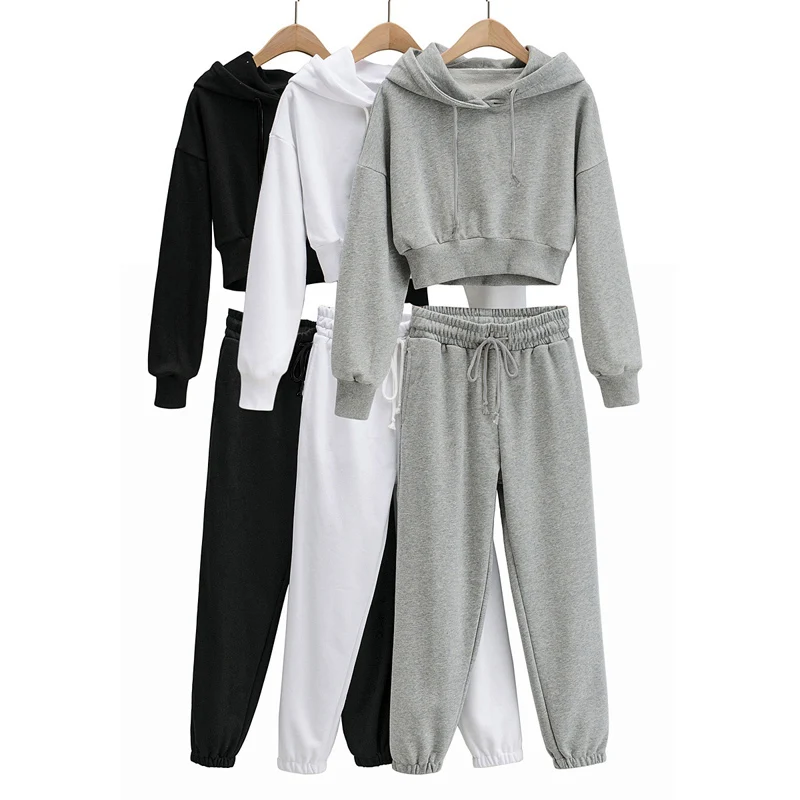 

2021 Womens Long Sleeve Tracksuit Sets Comfortable Homewear Lady Plush Crop Tops Long Pants Set Winter Sport Fitness